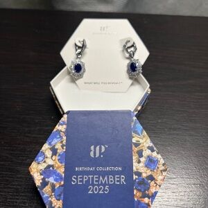BP Silver and Blue Earrings